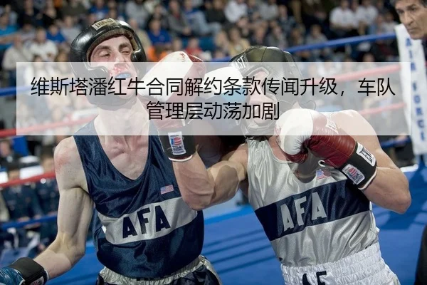 wei-si-ta-pan-hong-niu-he-tong-jie-yue-tiao-kuan-chuan-wen-sheng-ji-che-dui-guan-li-ceng-dong-dang-jia-ju-2-694.jpg